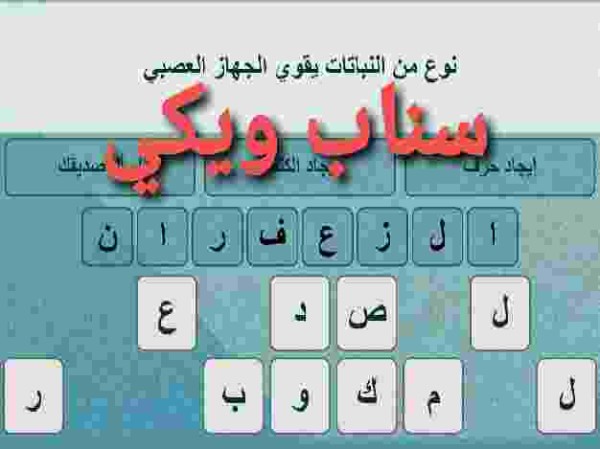 نوع من النباتات يقوي الجهاز العصبي كلمات متقاطعة 8 حروف